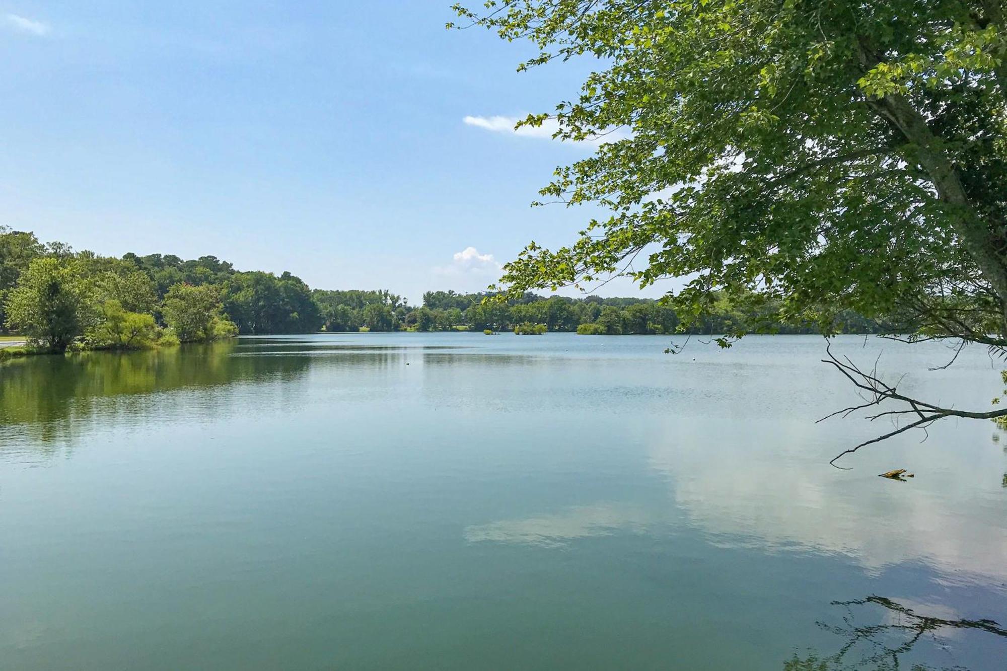 Battersea On The Canal Ocean Pines Εξωτερικό φωτογραφία
